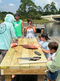 Red Snapper Fishing in Pensacola, Florida