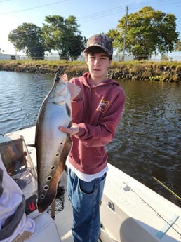 Fishing in Loxahatchee, Florida