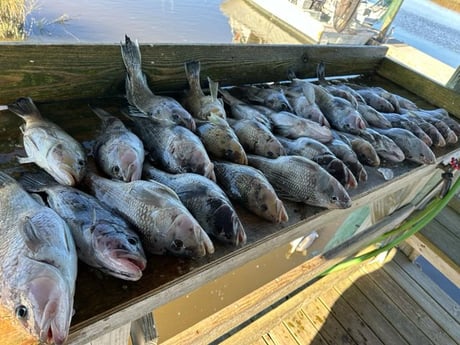 Fishing in Fernandina Beach, Florida