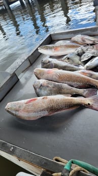 Fishing in Biloxi, Mississippi