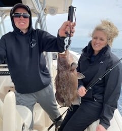 Scamp Grouper Fishing in Charleston, South Carolina