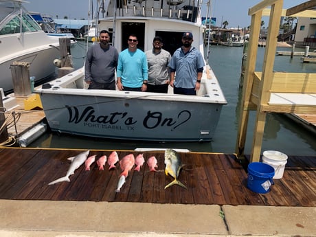 Bonnethead Shark, Jack Crevalle, Red Snapper, Speckled Trout Fishing in South Padre Island, Texas