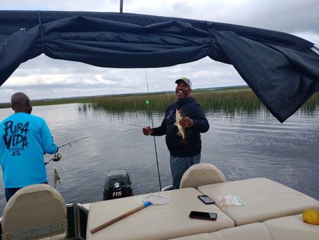 Largemouth Bass Fishing in Kissimmee, Florida