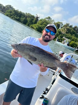 Gag Grouper Fishing in Holmes Beach, Florida