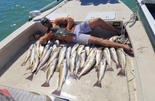 Redfish Fishing in Port Isabel, Texas