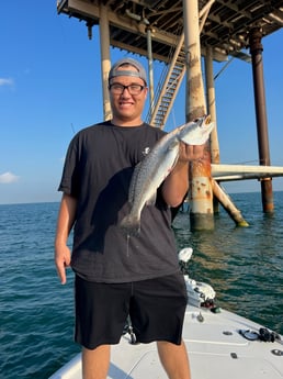 Speckled Trout Fishing in Port Arthur, Texas
