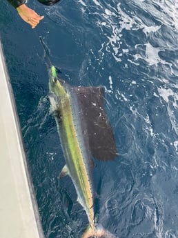 Fishing in Fort Lauderdale, Florida