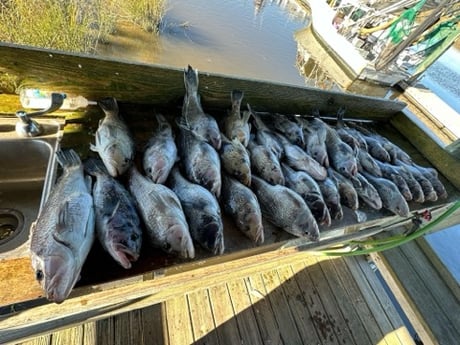 Fishing in Fernandina Beach, Florida