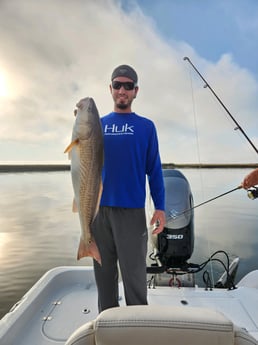 Redfish Fishing in Yscloskey, Louisiana