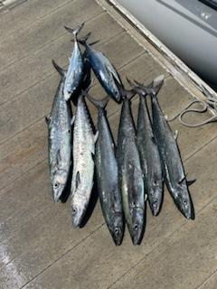 Fishing in Port Orange, Florida