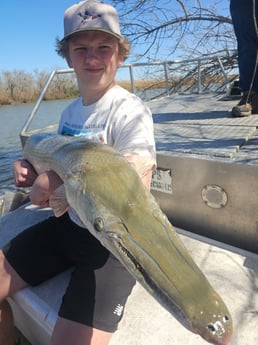 Alligator Gar Fishing in Hockley, Texas