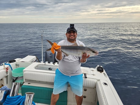 Fishing in Wilmington, North Carolina