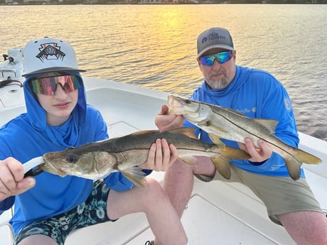 Snook Fishing in