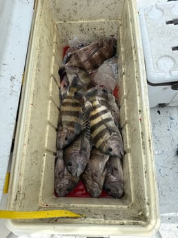 Fishing in South Padre Island, Texas