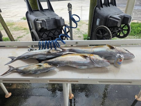 Fishing in Jacksonville, Florida