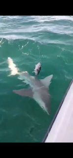 Fishing in Port Orange, Florida