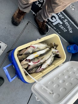 Fishing in Monroe, Michigan