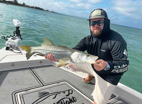 Snook Fishing in Sarasota, Florida