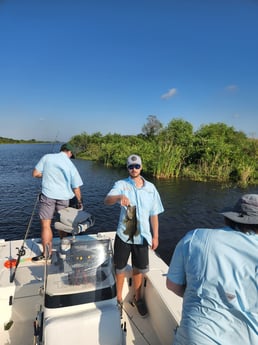 Largemouth Bass Fishing in Wellington, Florida