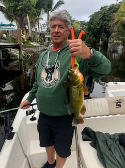 Peacock Bass Fishing in