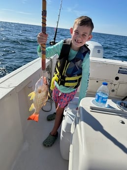 Fishing in Shalimar, Florida