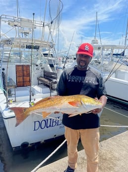 Redfish Fishing in Biloxi, Mississippi