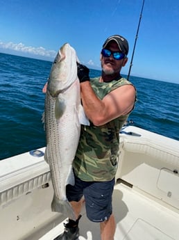 Striped Bass fishing in Montauk, New York