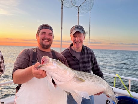 Striped Bass fishing in Montauk, New York