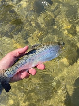 Fishing in Hume, California