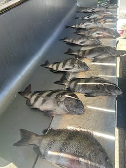 Fishing in D&#039;Iberville, Mississippi