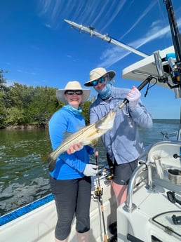 Snook Fishing in Tavernier, Florida