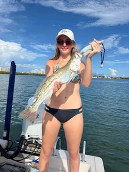 Fishing in Sarasota, Florida