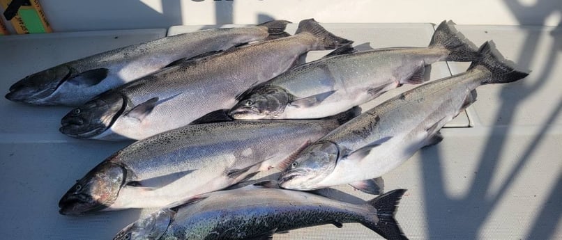 Fishing in Wyandotte, Michigan
