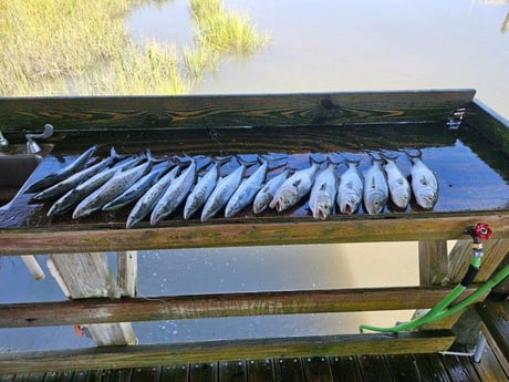 Fishing in Fernandina Beach, Florida