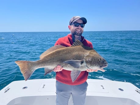 Black Drum fishing in Hatteras, North Carolina