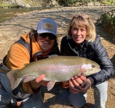 Rainbow Trout fishing in Leicester, North Carolina
