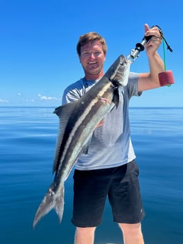 Cobia Fishing in Matagorda, Texas