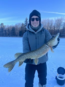 Fishing in Stanwood, Michigan