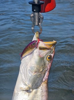 Fishing in Aransas Pass, Texas
