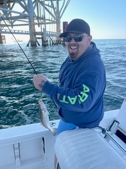 Speckled Trout / Spotted Seatrout Fishing in Gulf Shores, Alabama