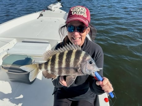 Fishing in St. Petersburg, Florida