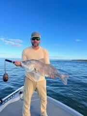 Black Drum Fishing in Boothville-Venice, Louisiana