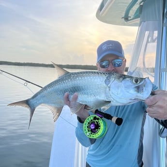 Tarpon Fishing in Jupiter, Florida