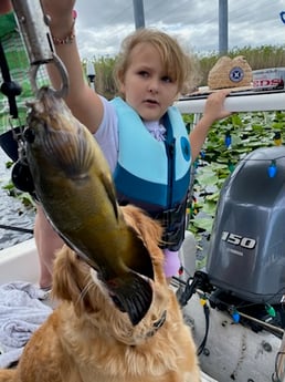 Fishing in Weston, Florida