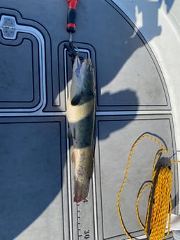 Fishing in Pembroke Pines, Florida