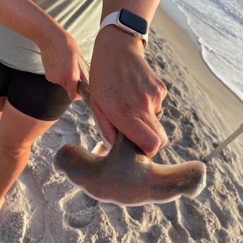 Fishing in Palm Coast, Florida