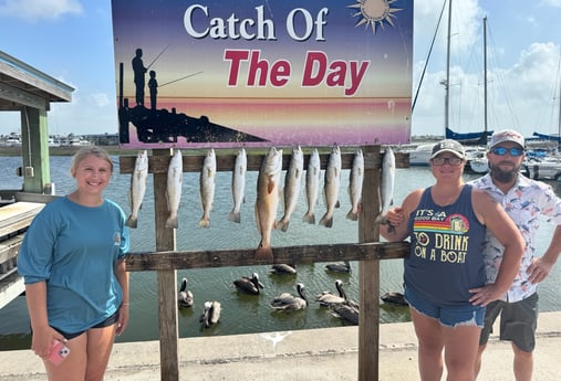 Redfish, Speckled Trout Fishing in