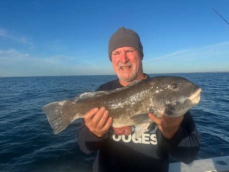 Fishing in Westport, Massachusetts