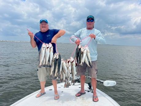 Speckled Trout Fishing in Port Arthur, Texas