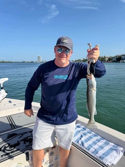 Fishing in Sarasota, Florida